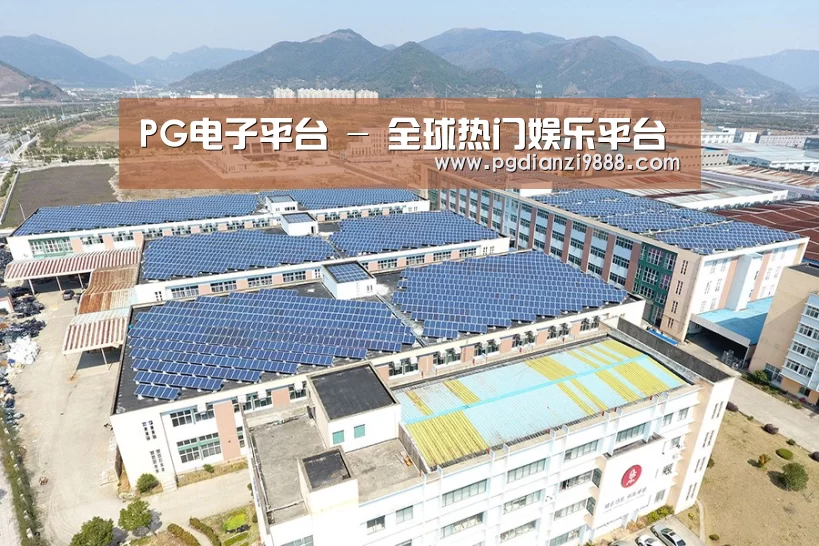 案例展示二