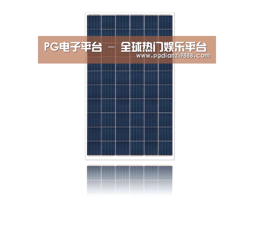 产品名称一