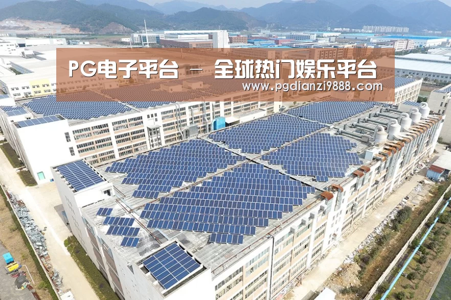 案例展示三