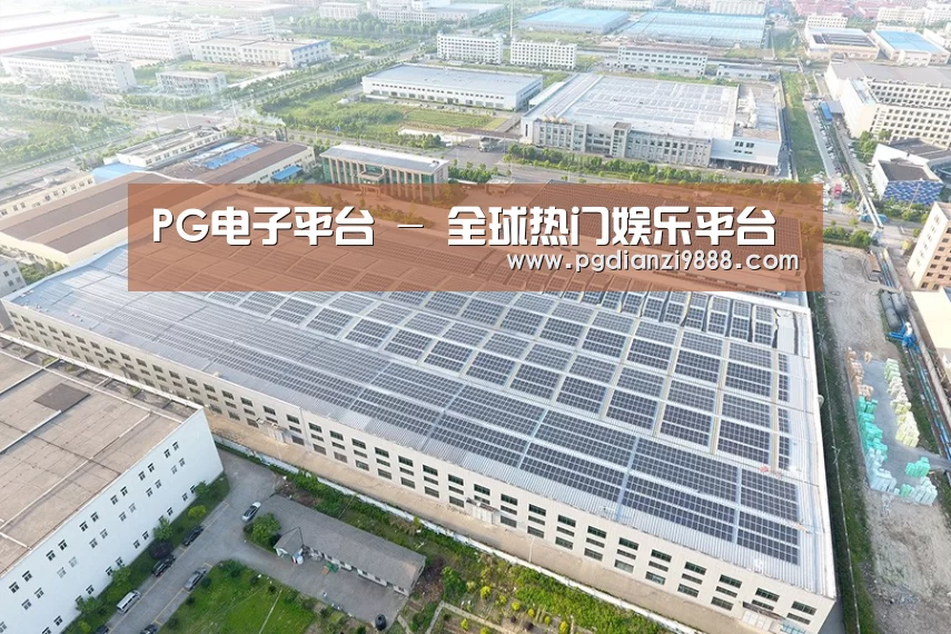 案例展示二