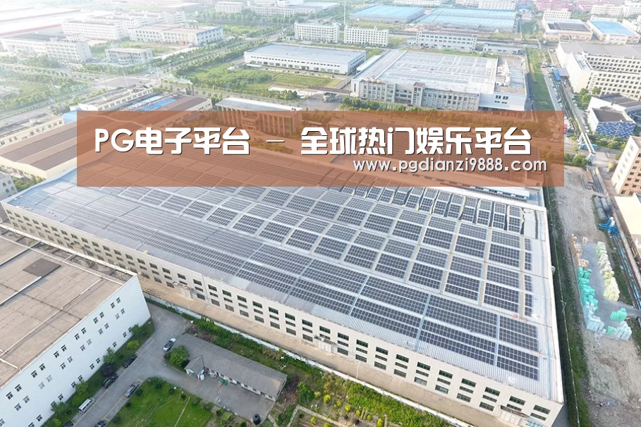 案例展示三