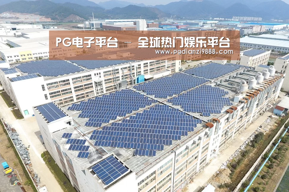案例展示四