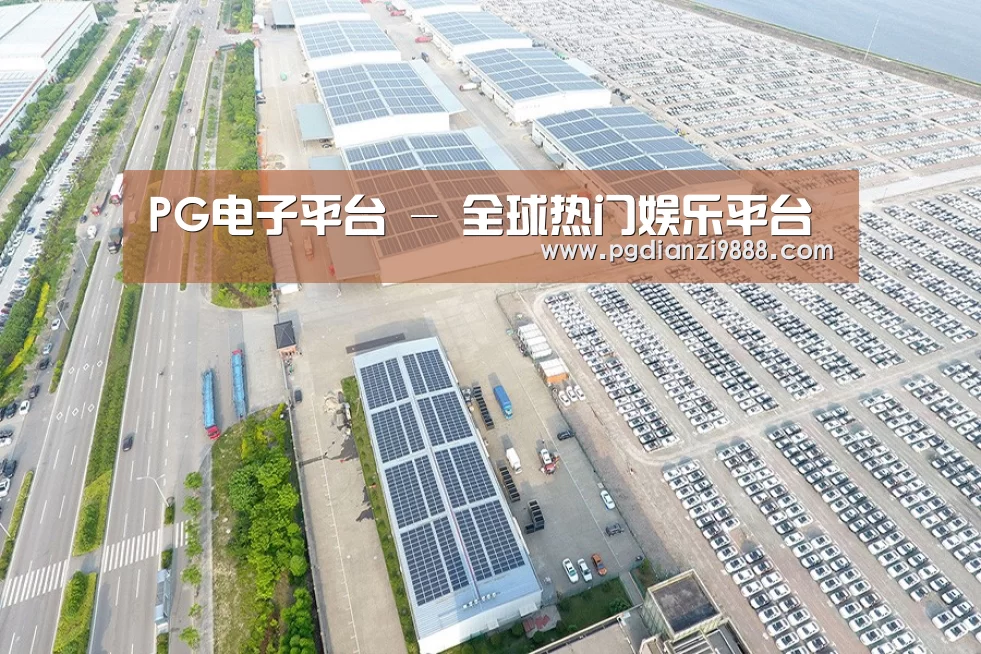 案例展示四