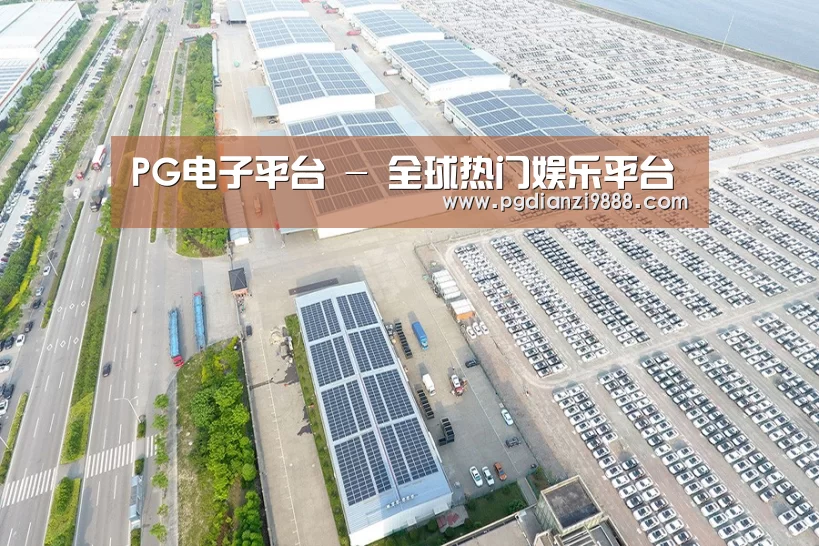 案例展示二