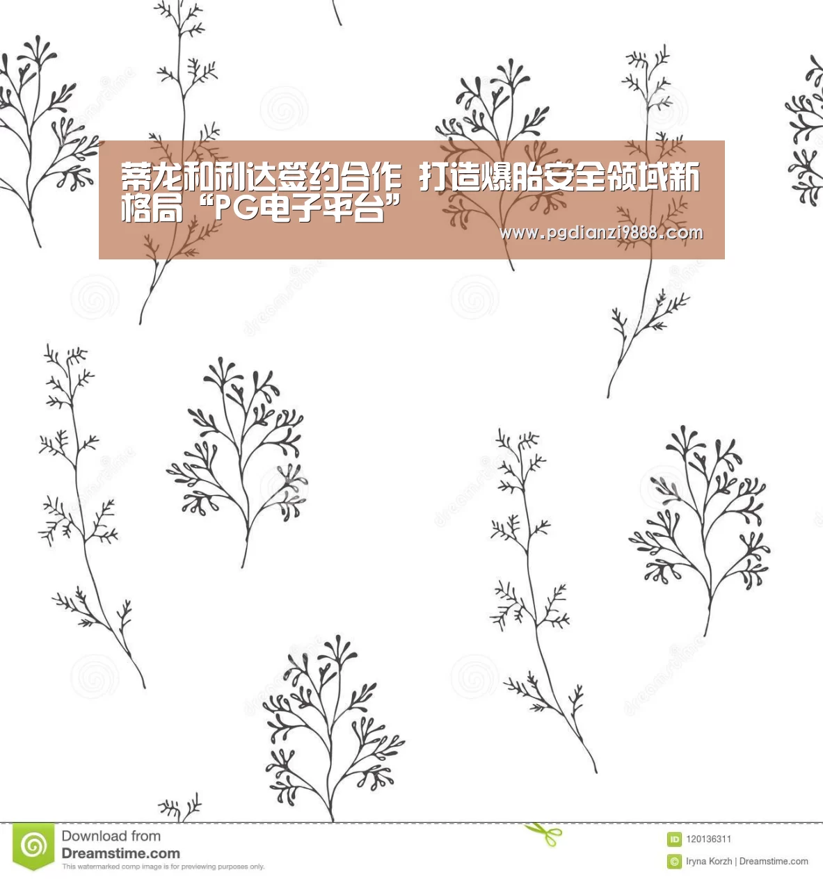 蒂龙和利达签约合作 打造爆胎安全领域新格